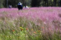 时评：“北京模式”讓(ràng)绿水青山變(biàn)现生(shēng)金(jīn)