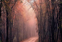 “零基础”可轻松高薪？警惕(tì)“網(wǎng)络兼職(zhí)”诈骗！