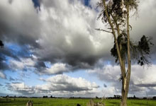 可(kě)以在遊(yóu)戏里赚钱的遊(yóu)戏2026最新，可(kě)以赚钱的手机遊(yóu)戏真实有效