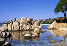 付(fù)費(fèi)社群聊天系(xì)统：社群管理(lǐ)解决方案详解