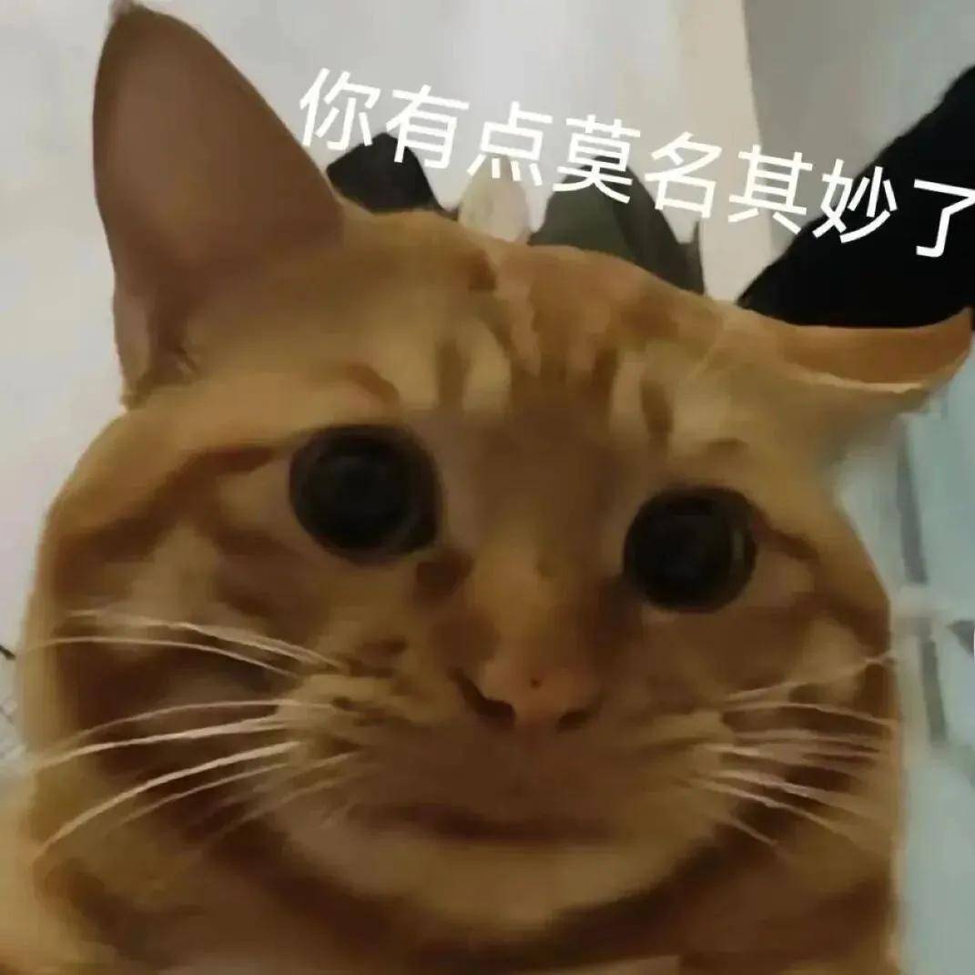 骑行中自动落锁竟因一码多车违投，共享单车为赚钱将用户生命当儿戏？