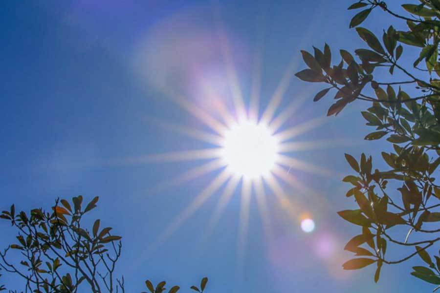 数字博物馆免费开放珍贵藏品